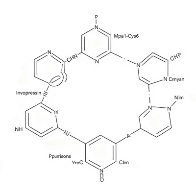 CAS 1488411-60-4 Invopressina